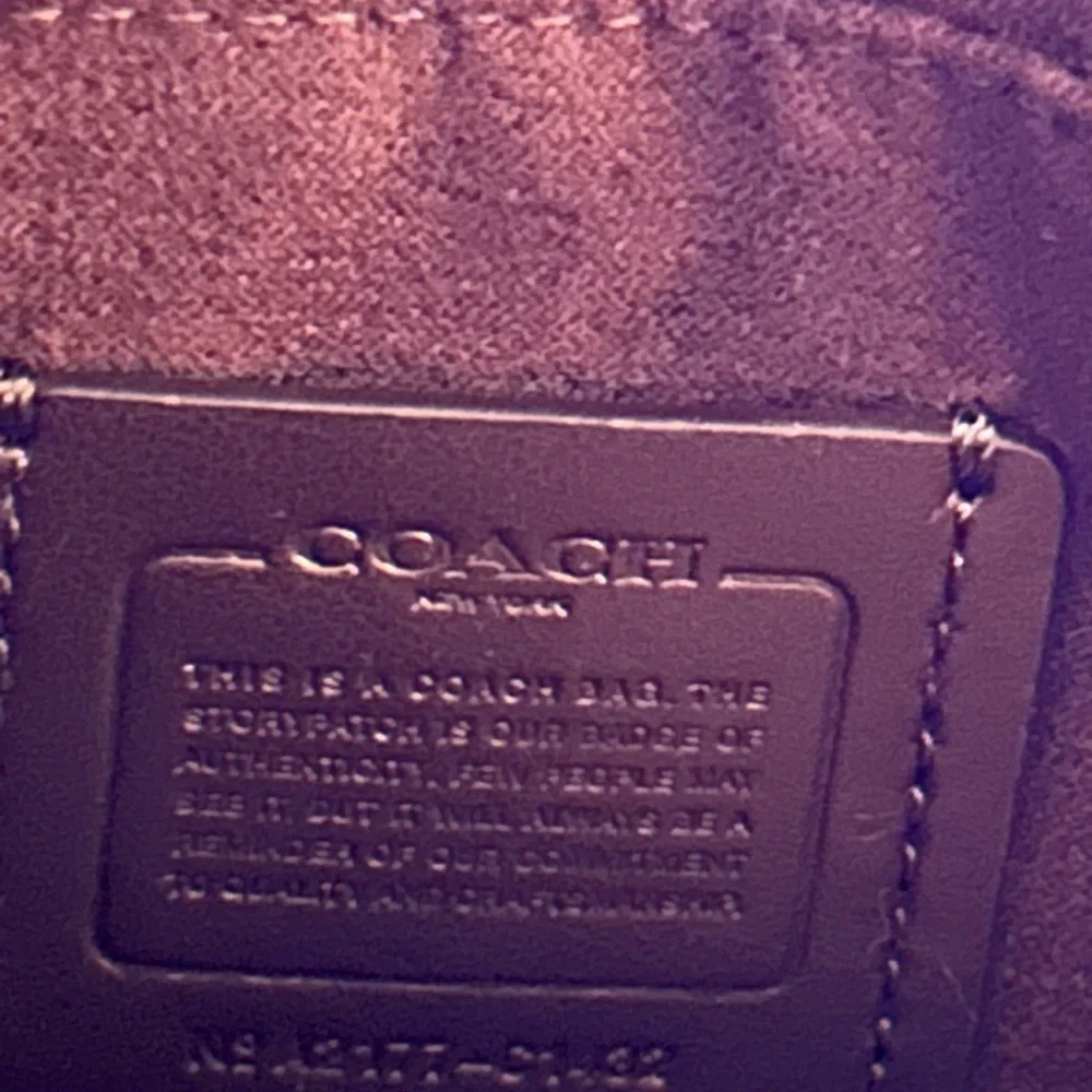 Coach Ellen Crossbody Bag in Refined Pebble Leather (Style C1432)